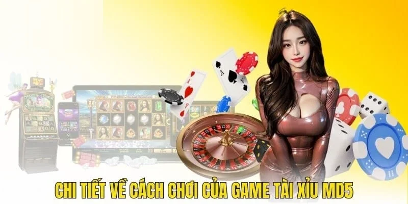 Cách chơi game tài xỉu MD5