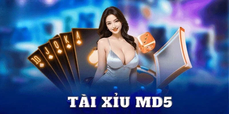 Tài xỉu MD5 đang được yêu thích